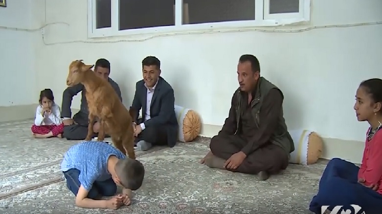 (قَیسی) بزغاله‌ای که عضو یک خانواده انسانی شد